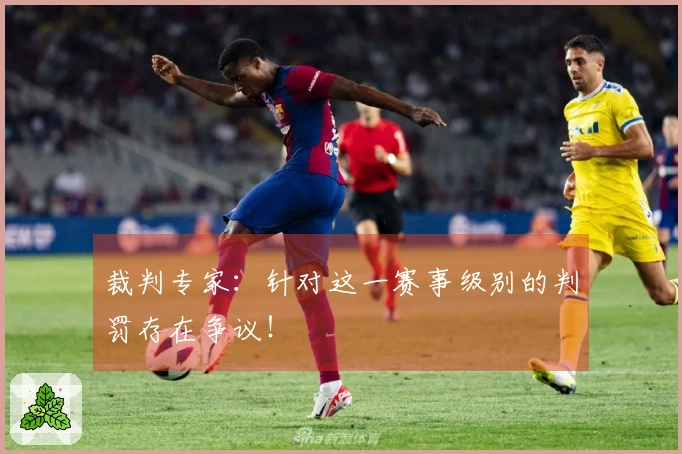 裁判专家：针对这一赛事级别的判罚存在争议！